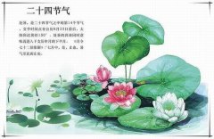 處暑之后注意祛暑，除燥潤(rùn)津的藥膳推薦給家人～